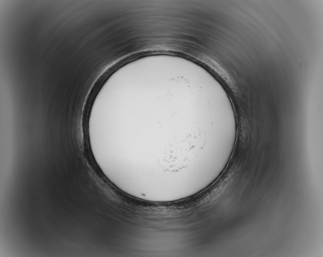 X0000096400980200802211200