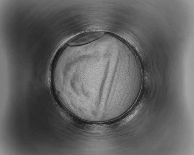 X0000096400981200802211200