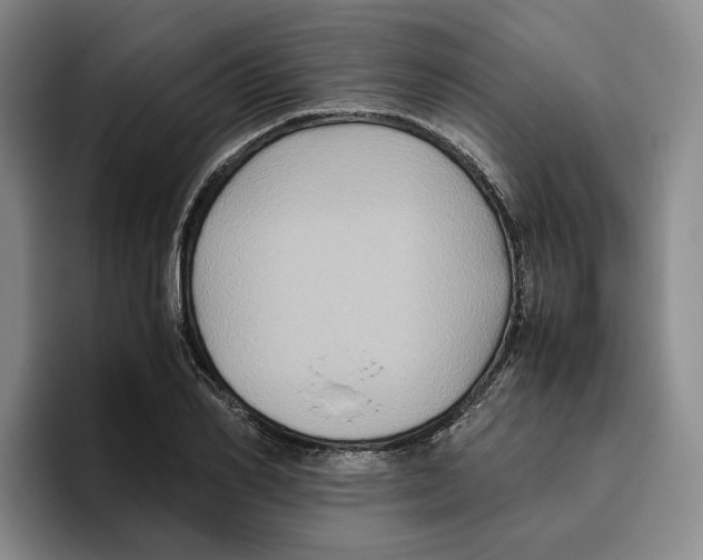 X0000096400982200802211200