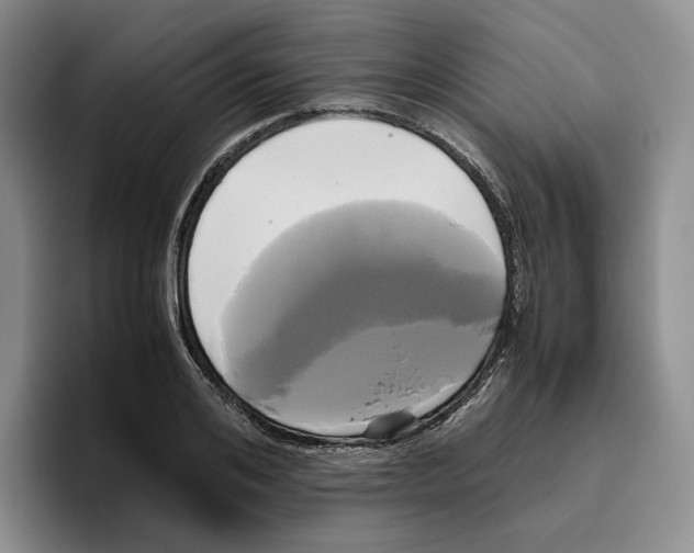 X0000096400984200802211200