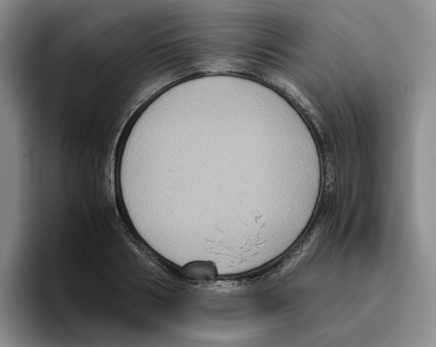 X0000096400986200802211200