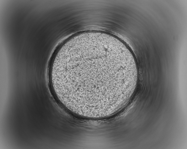 X0000096400987200802211200