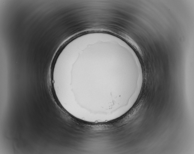 X0000096400988200802211200