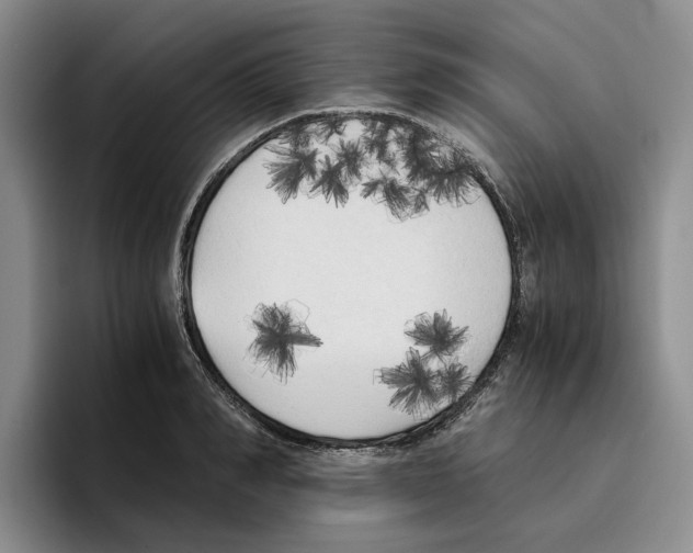 X0000096400990200802211200