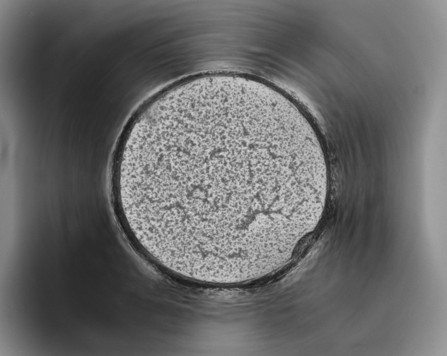 X0000096400991200802211200