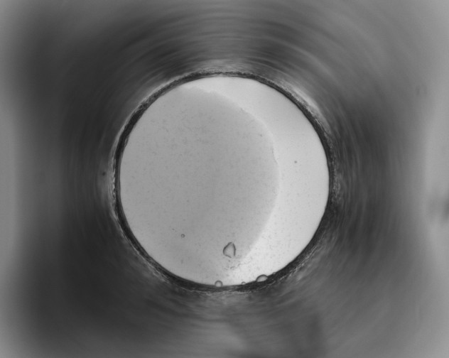 X0000096400992200802211159