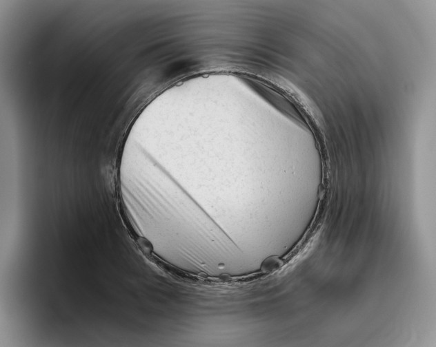 X0000096400993200802211159