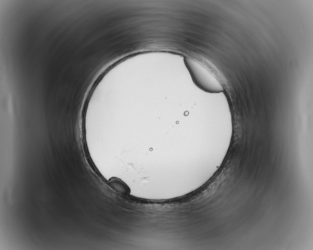 X0000096400996200802211159