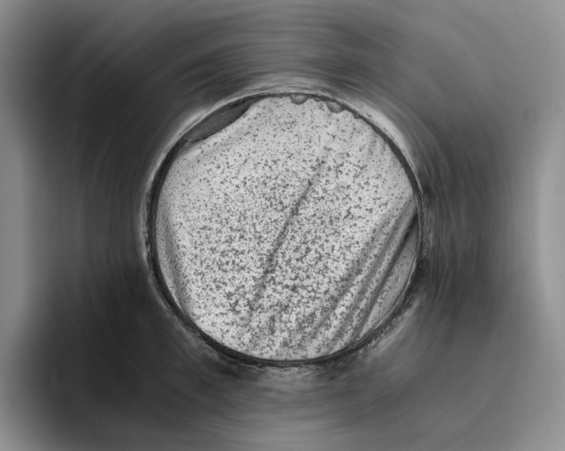 X0000096400997200802211159