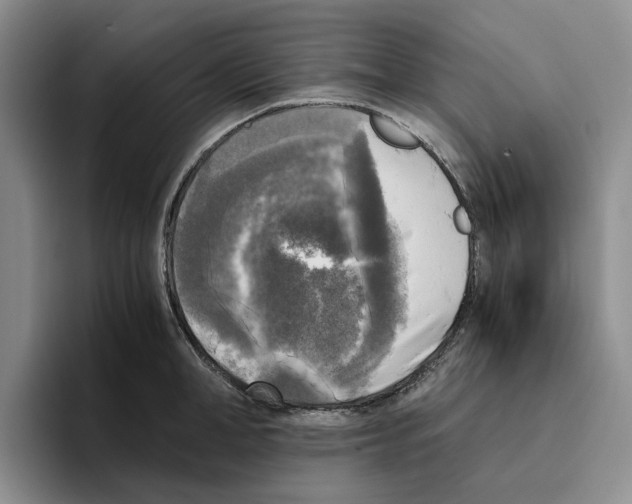 X0000096400998200802211159