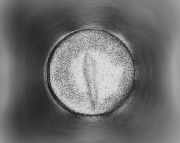 X0000096400999200802211159