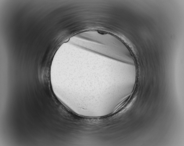 X0000096401001200802211159