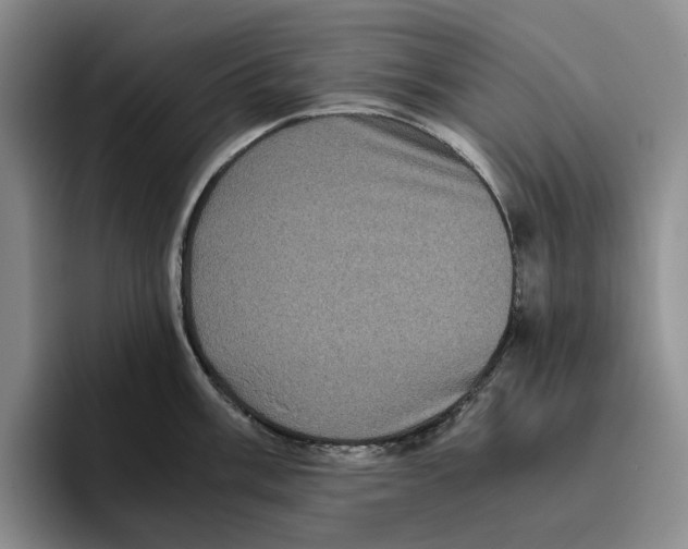 X0000096401003200802211159