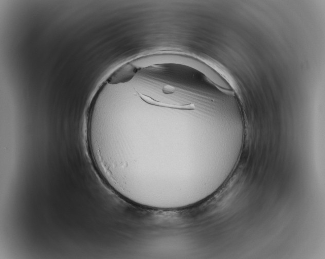 X0000096401006200802211159