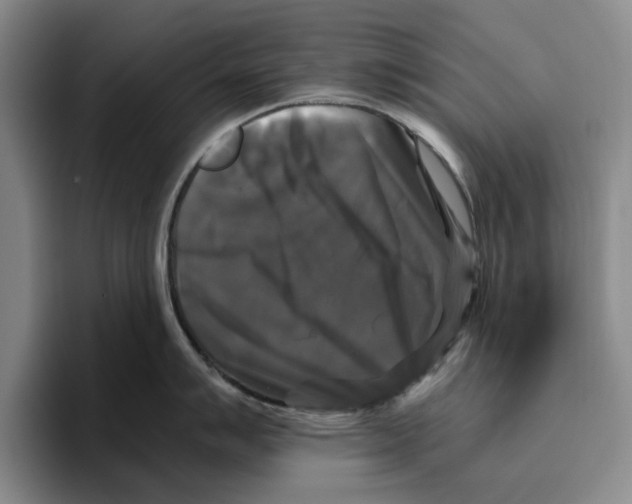 X0000096401007200802211159