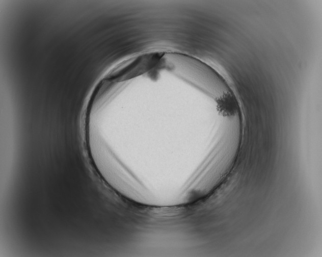 X0000096401008200802211159