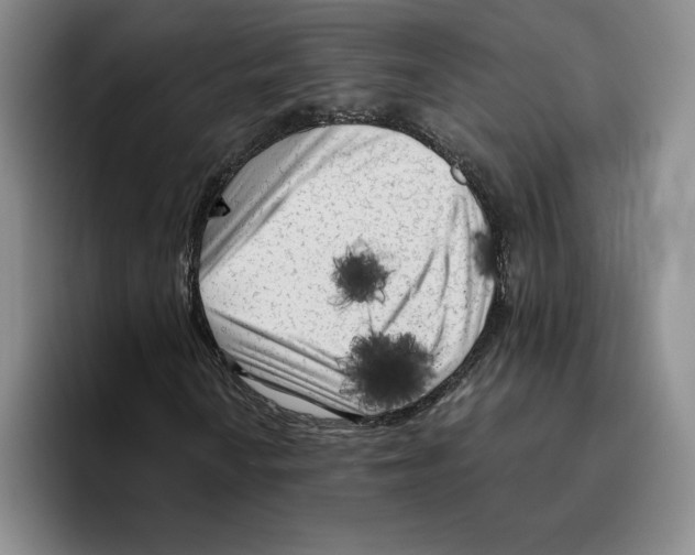 X0000096401010200802211159