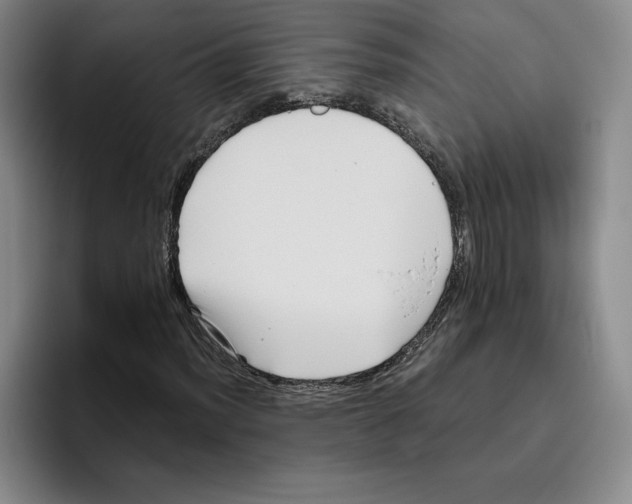 X0000096401012200802211159