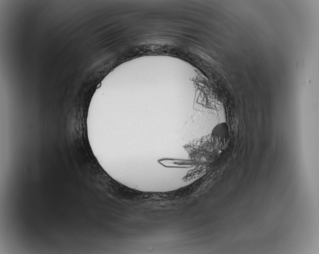 X0000096401014200802211159