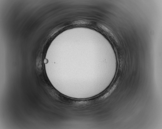 X0000096401017200802211159