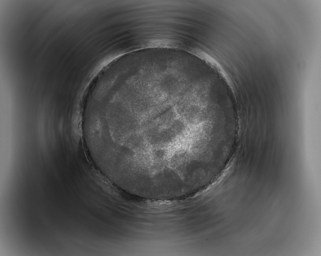 X0000096401019200802211159