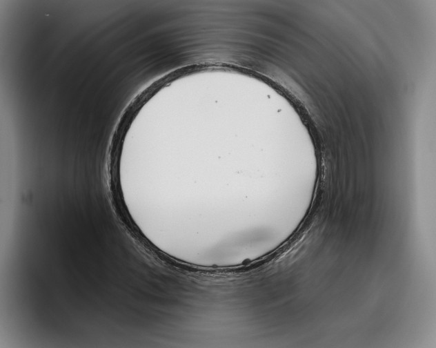 X0000096401020200802211159