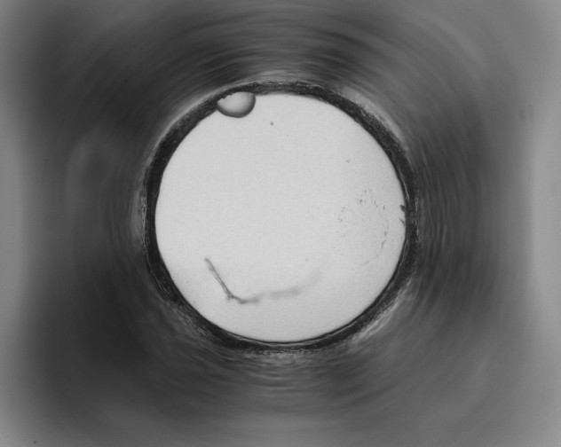 X0000096401021200802211159