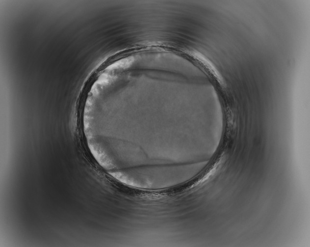 X0000096401023200802211159