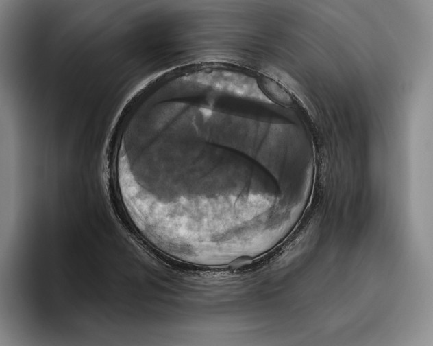 X0000096401024200802211159