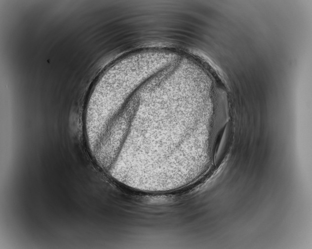 X0000096401025200802211159