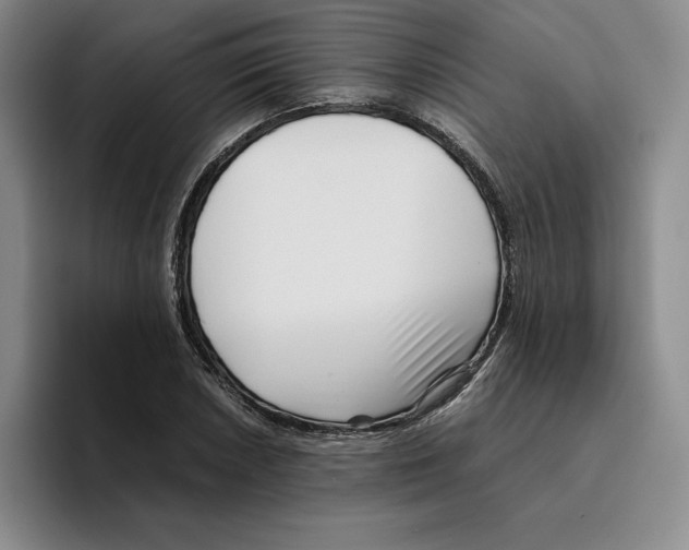 X0000096401026200802211159