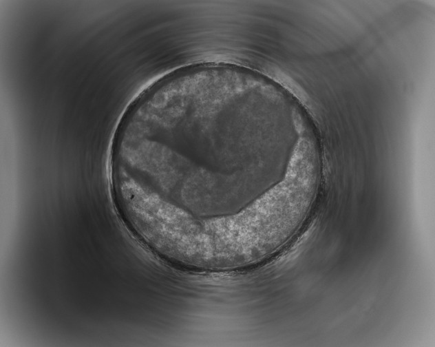 X0000096401028200802211159