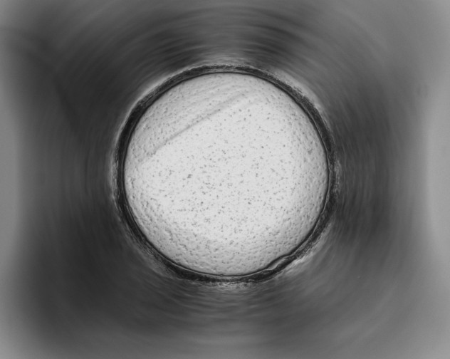 X0000096401029200802211159