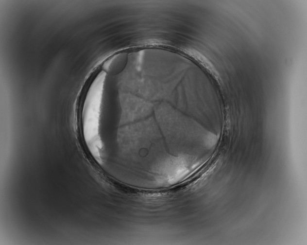 X0000096401031200802211159