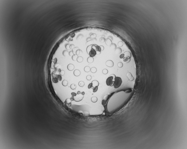 X0000096401032200802211159