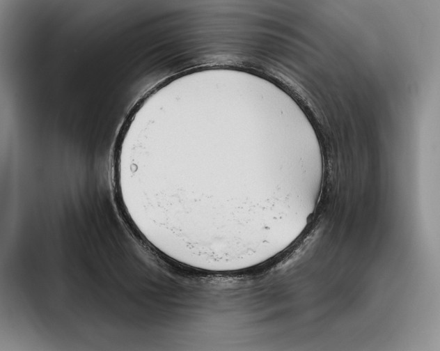 X0000096401034200802211159