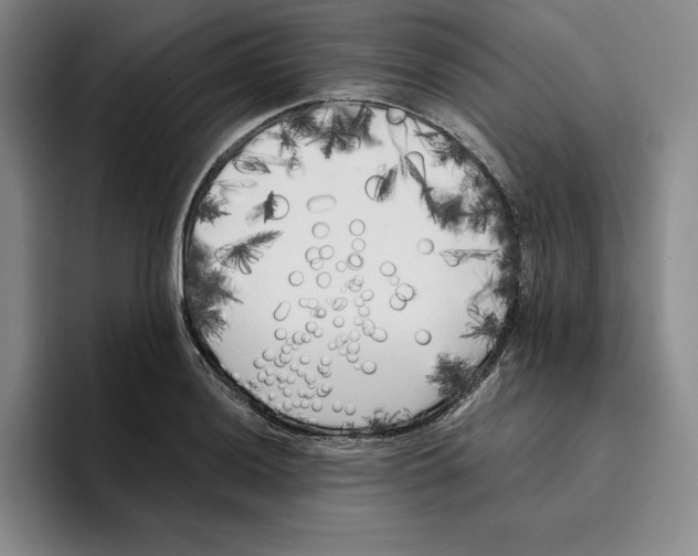 X0000096401036200802211159