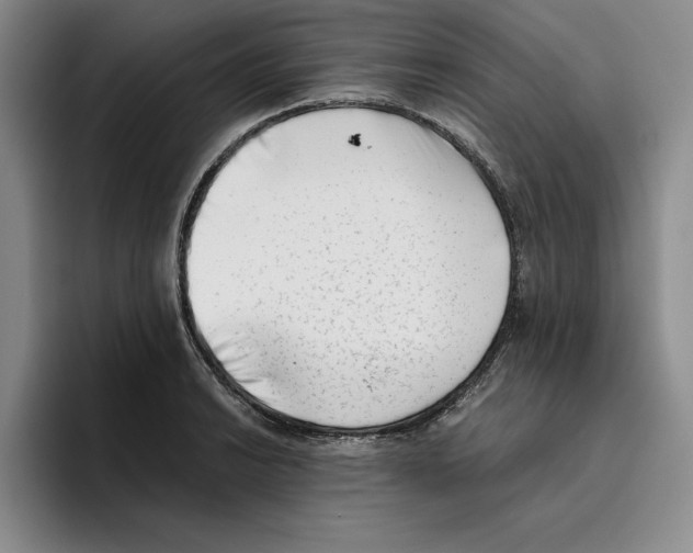 X0000096401038200802211159