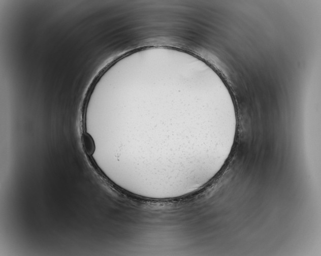 X0000096401040200802211159