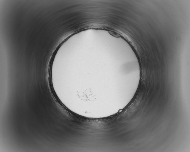 X0000096401042200802211159