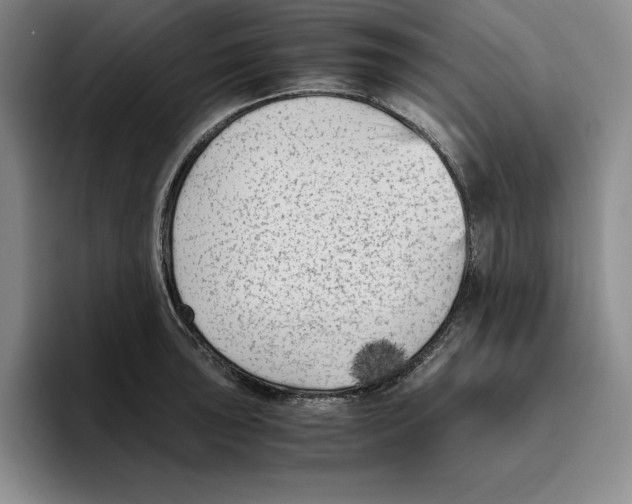 X0000096401043200802211159