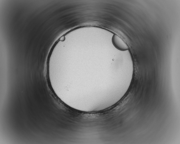 X0000096401044200802211159