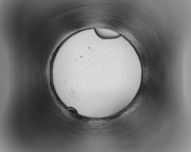 X0000096401046200802211159