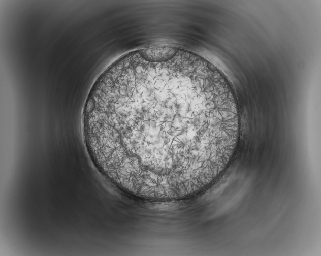 X0000096401047200802211159