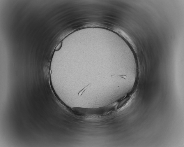 X0000096401049200802211159