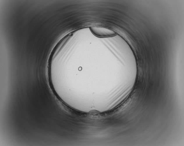 X0000096401050200802211159