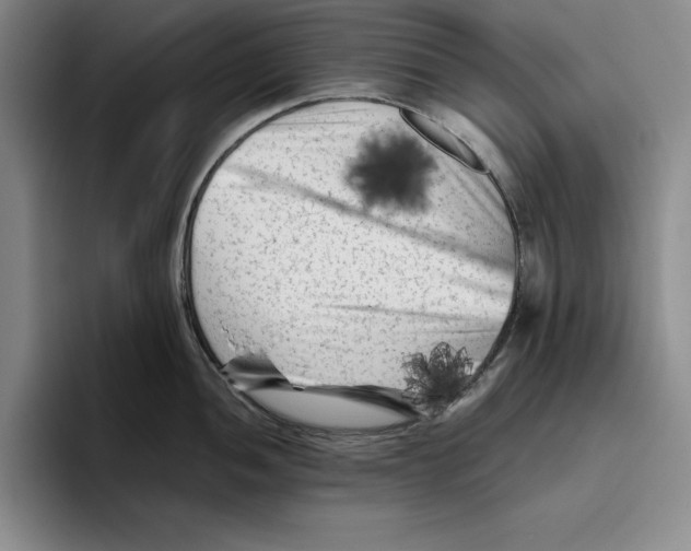 X0000096401052200802211159