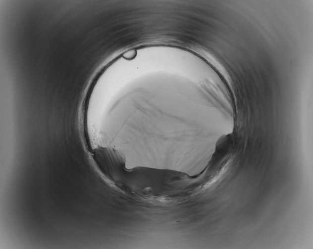 X0000096401053200802211159