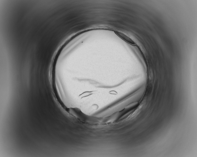 X0000096401054200802211159