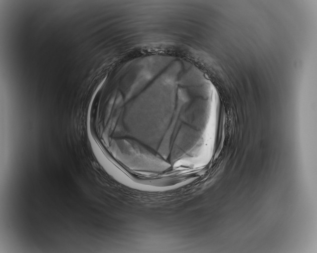 X0000096401060200802211159